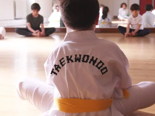 Taekwondo<br><span class="ts"> Adolescents</span>