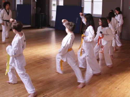 Taekwondo<br><span class="ts"> Enfants</span>