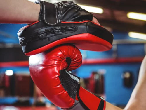Savate Boxe Française<br><span class="ts"> Adultes</span>